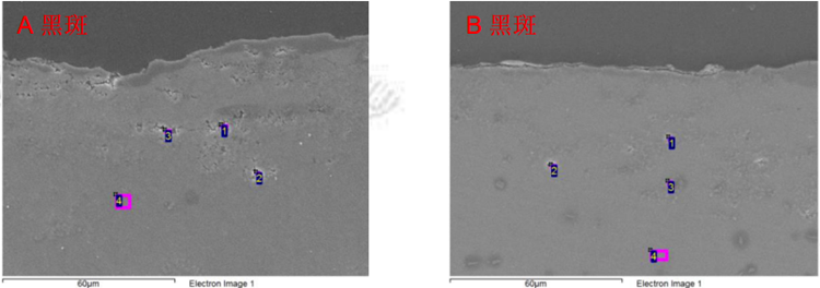 图6-EDS分析位置（1000×）