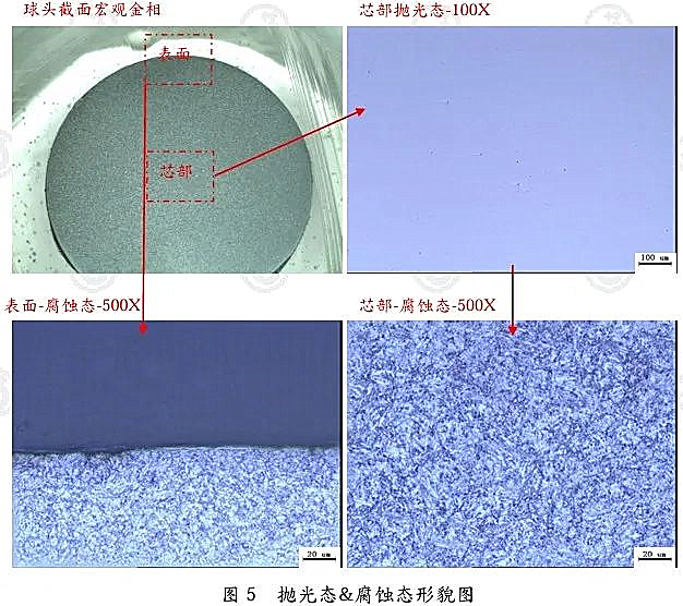 图5-抛光态&腐蚀态形貌图