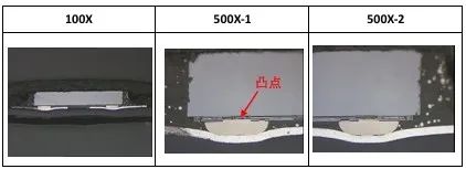 2#红色鸽环切片分析图片