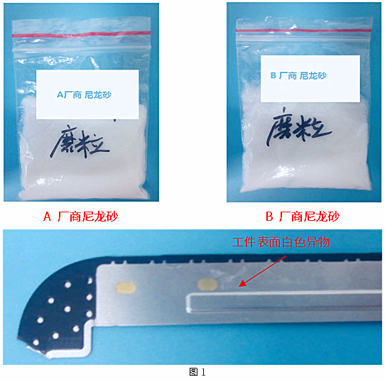 样品信息（图1）