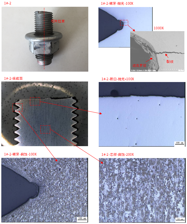 图4-抛光态&腐蚀态形貌图 图4-抛光态&腐蚀态形貌图
